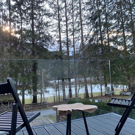 Apartament Pine Tree Holiday House Gozd Martuljek Zewnętrze zdjęcie